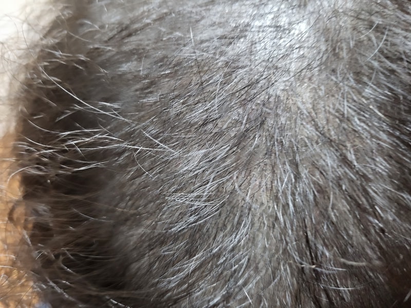 20220808_001600.jpg