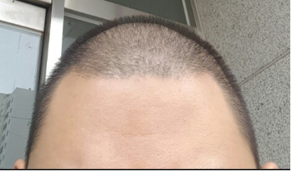 제목 없음1.png
