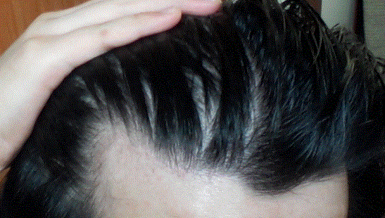 d7.GIF