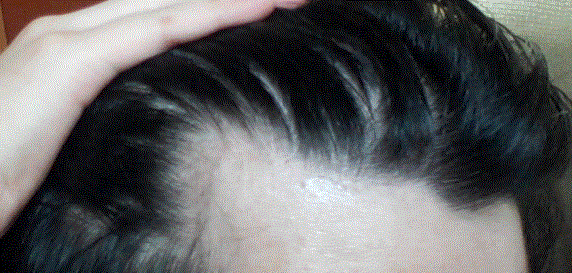 d6.GIF