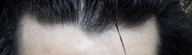 d4.GIF