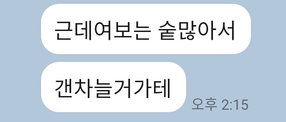 KakaoTalk_20211020_011132772.jpg
