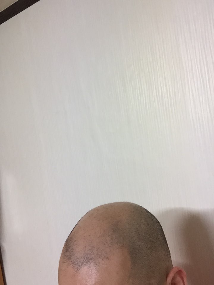 피피2.jpg