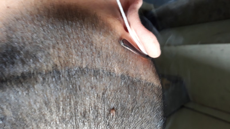 20190908_145813.jpg