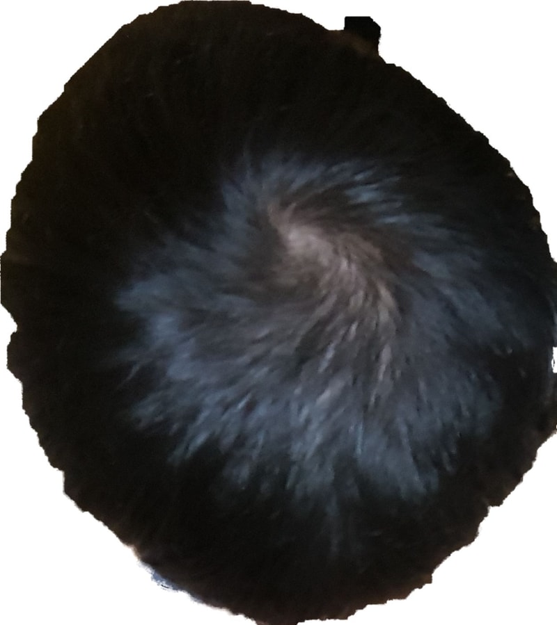 20190822_110753.png