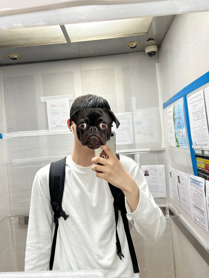 output_1381180553.jpeg