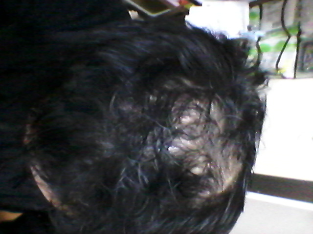 20150220_093315.jpg