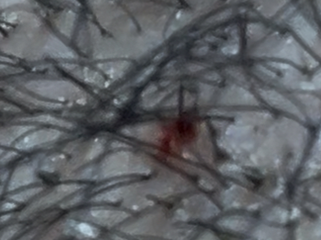 스크린샷 2025-03-08 000948.png