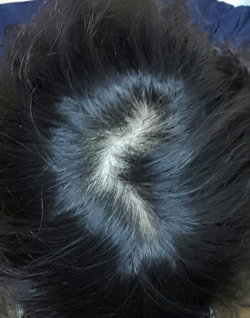20160625_082305.jpg
