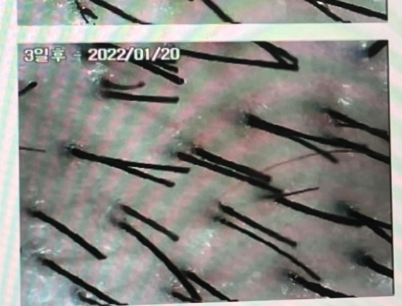 B2726A02-9E35-484B-9EA5-5FD2E51D7546.jpeg