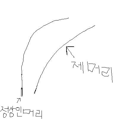제목 없음.JPG