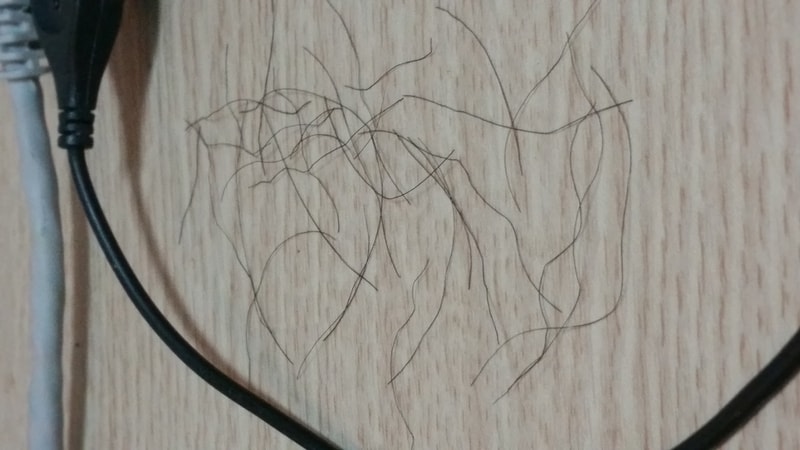 20140913_195035.jpg