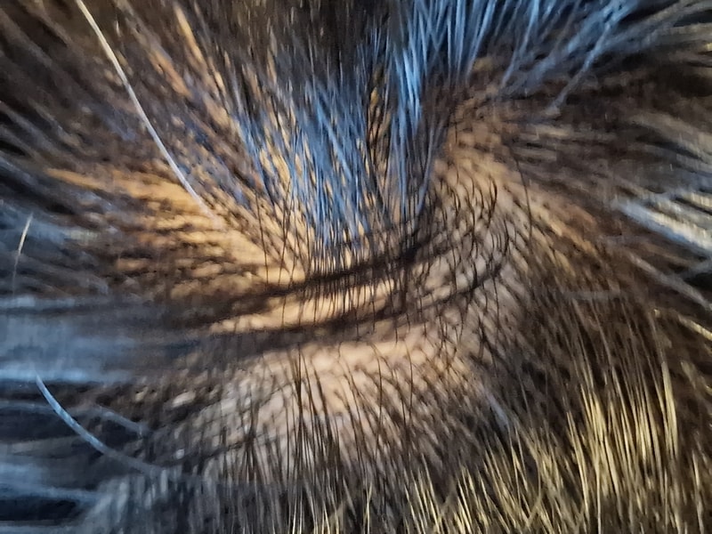 20230806_201610.jpg