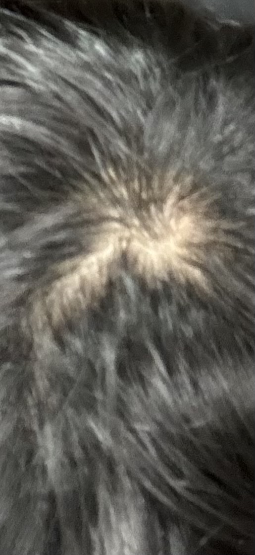 IMG_1741.jpeg