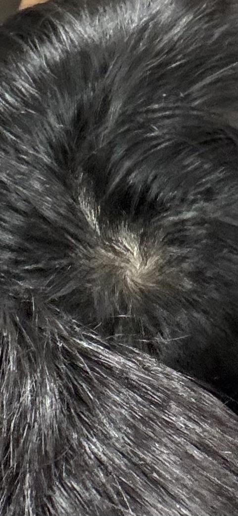 IMG_1740.jpeg