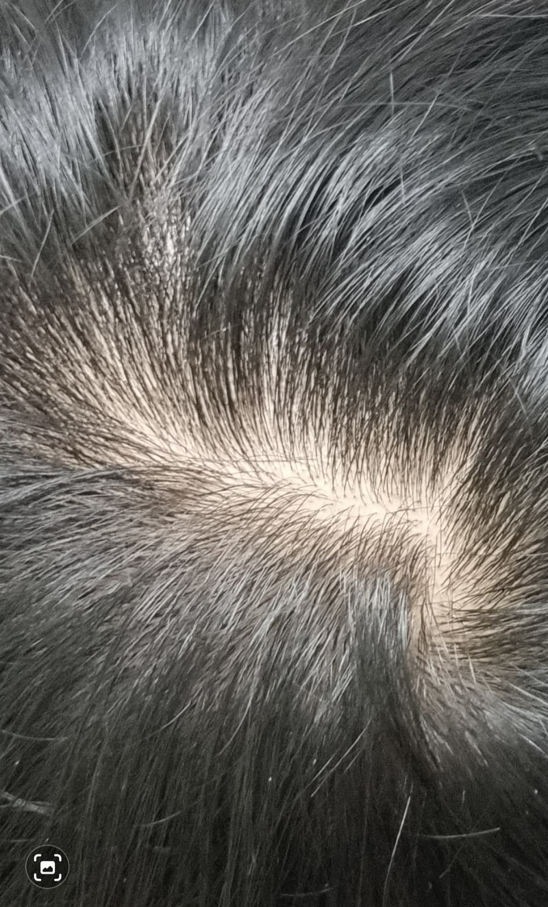 Screenshot_20211227-212805_Gallery.jpg