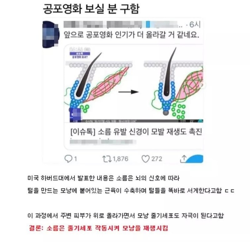Screenshot_20210925-085400_Instagram.jpg