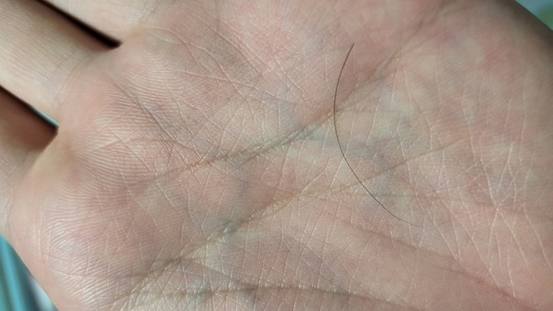 20220604_111710.jpg