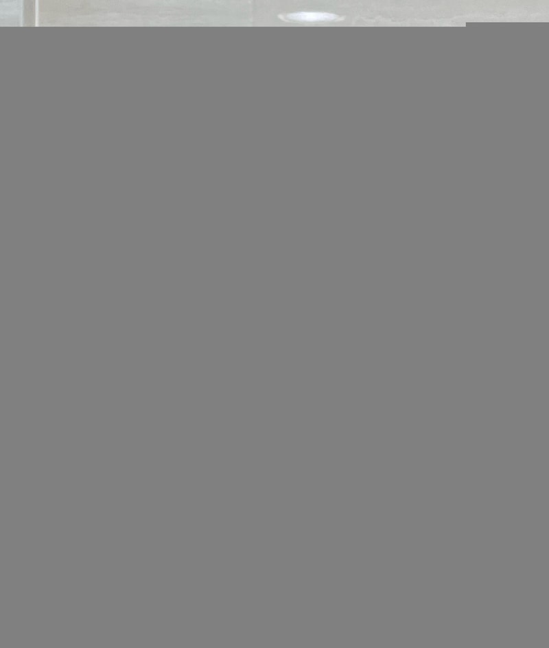 IMG_4668.jpeg