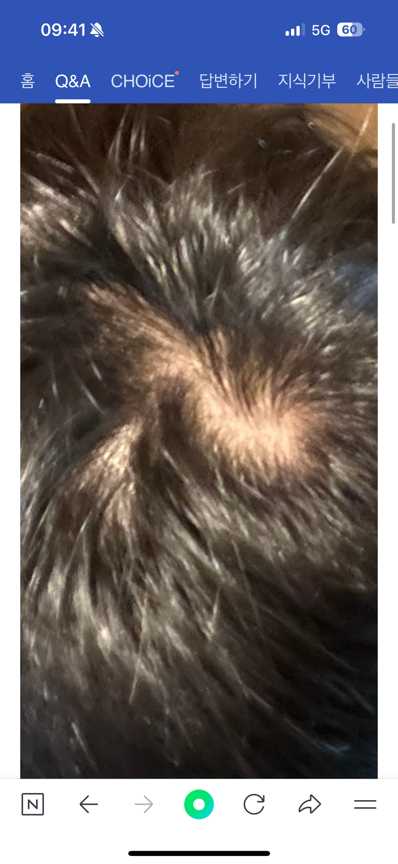 IMG_2062.png