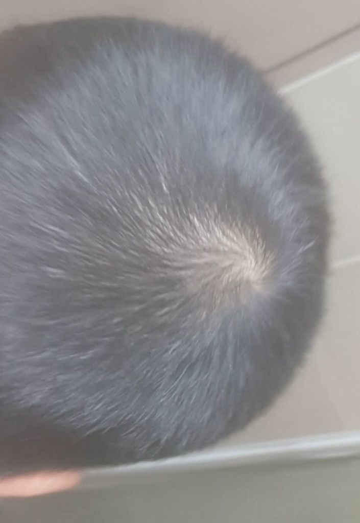 Screenshot_2018-05-11-11-43-25-1.png