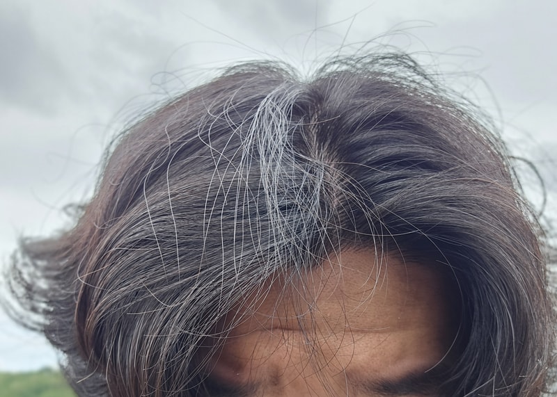 1000020019.jpg