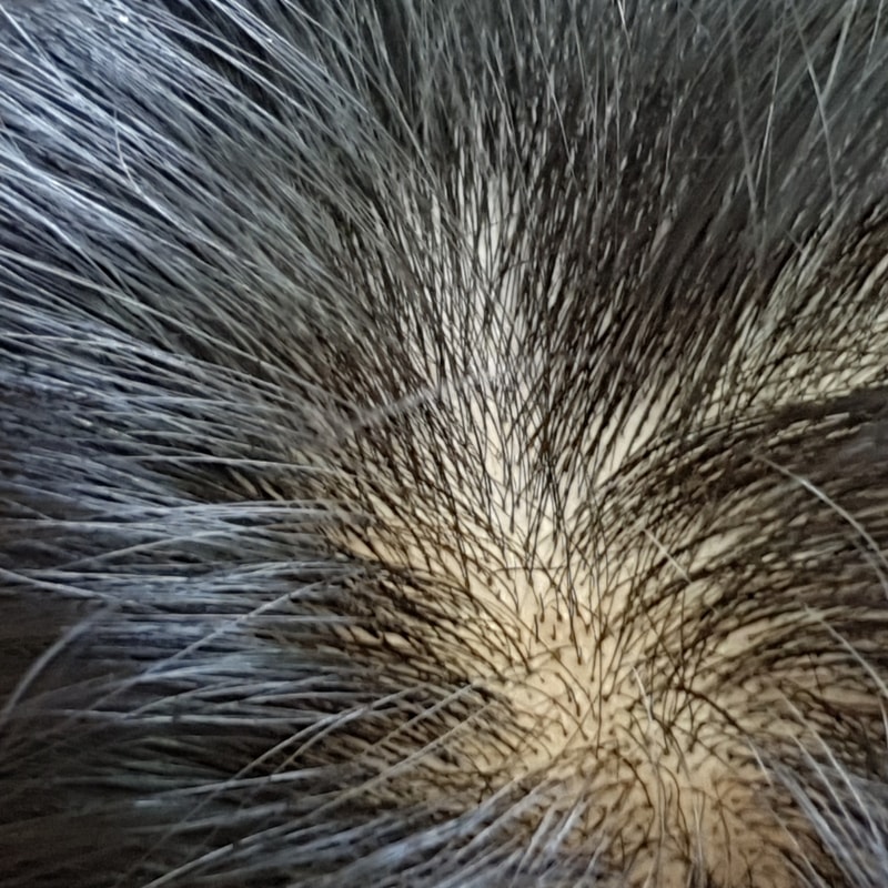 20190810_170241.jpg