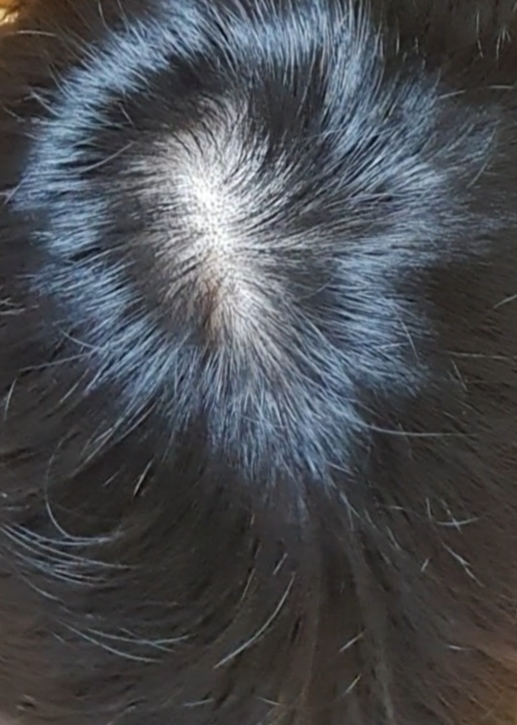 20190821_202110.jpg