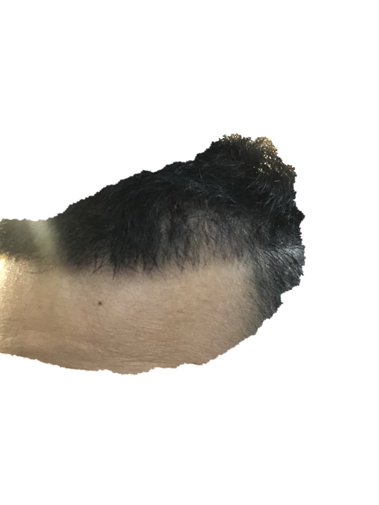 C6C9F055-330E-4088-9861-25B2F379E448.png
