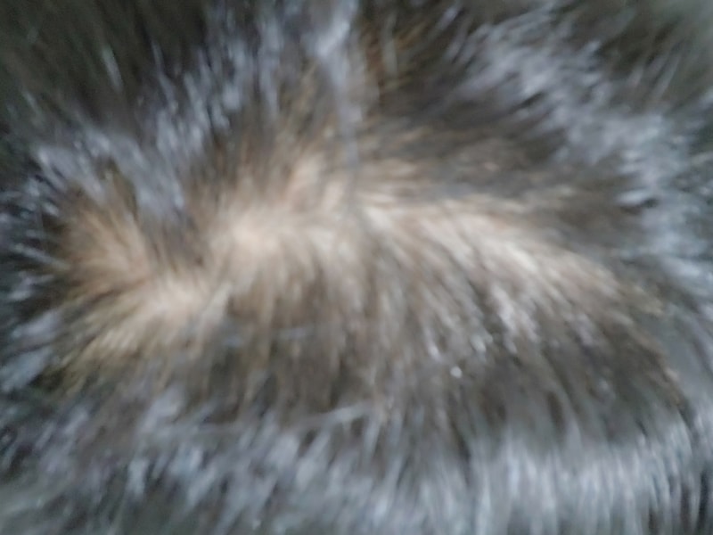 20190403_100056.jpg