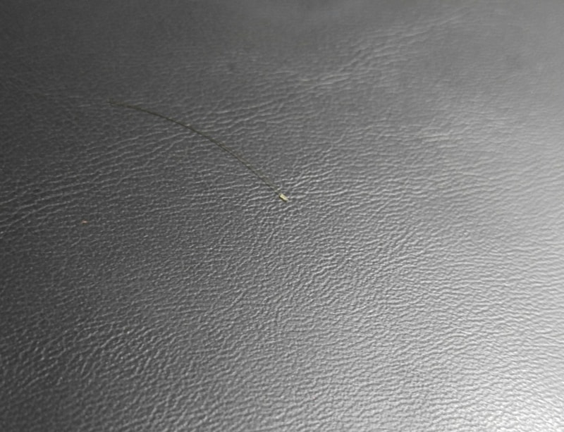 20160619_120846-1.jpg