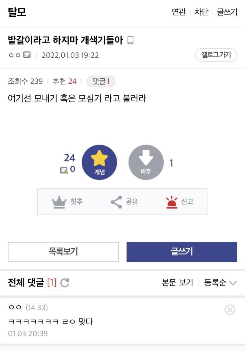 02.jpg