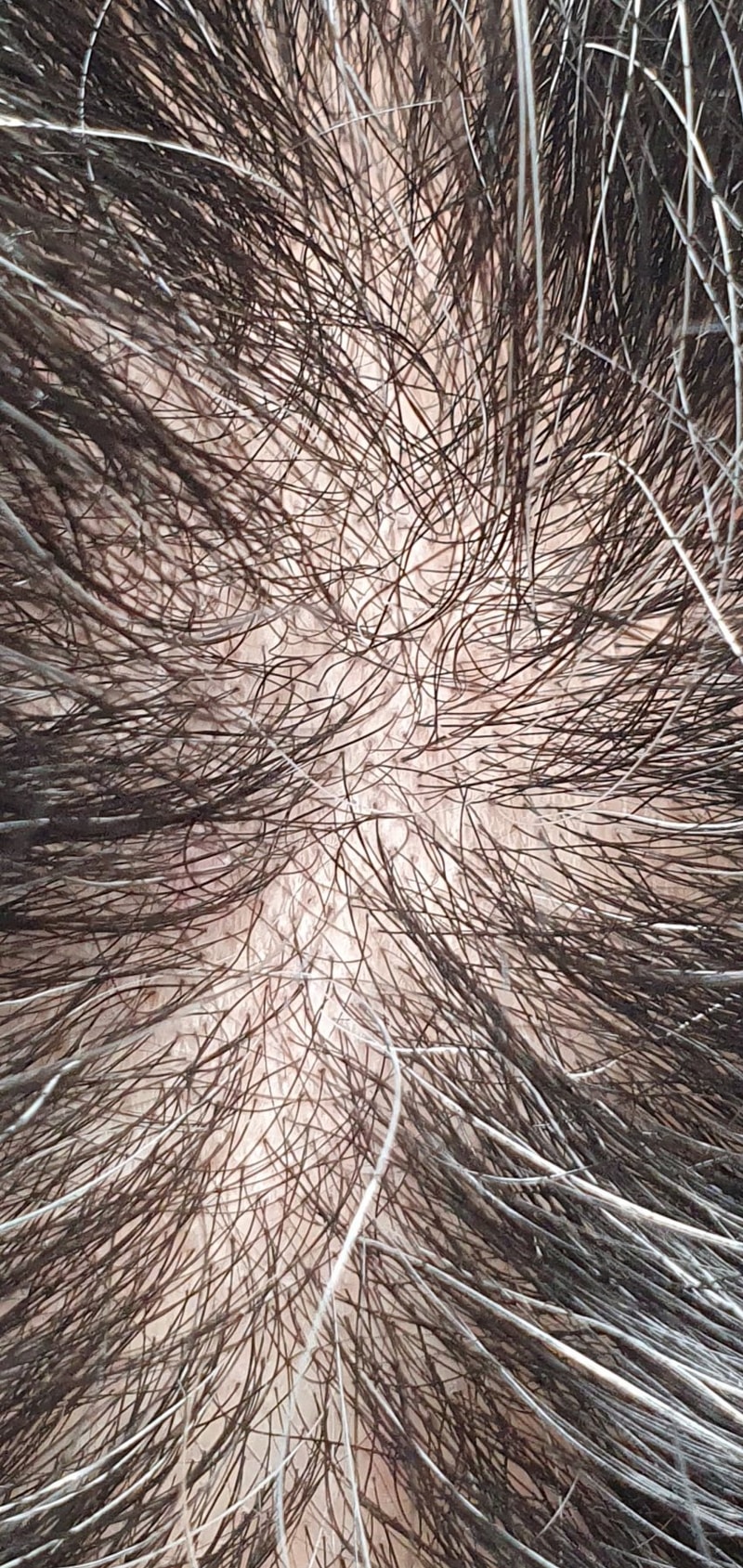 1657025889.jpg