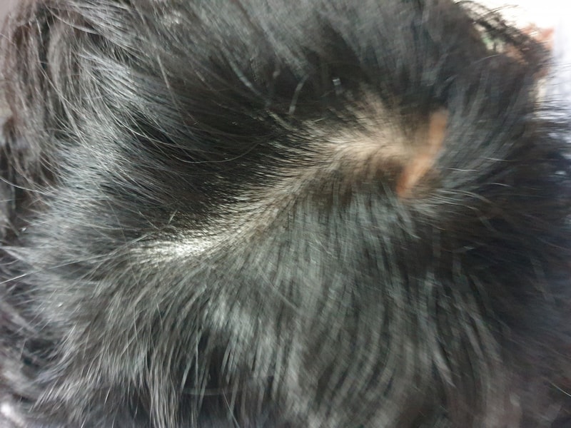 20201225_152953.jpg