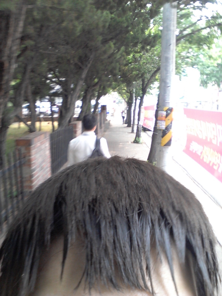 20150613_092112.jpg