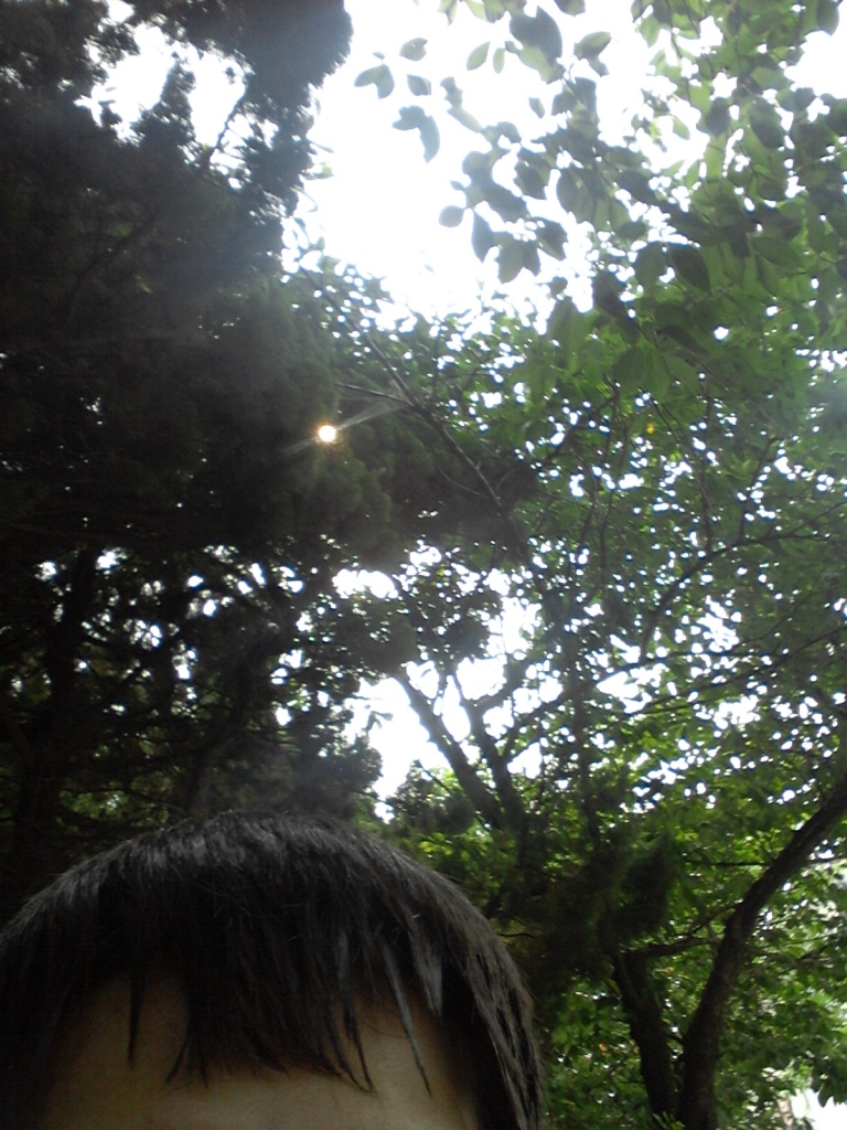 20150613_092105.jpg