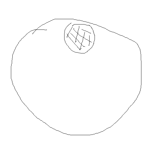 ㅋㅍㅁ.png