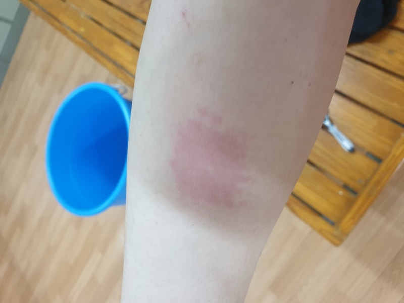 20190628_172135.jpg