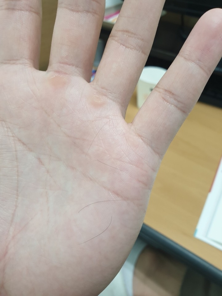 1561446518883.jpg