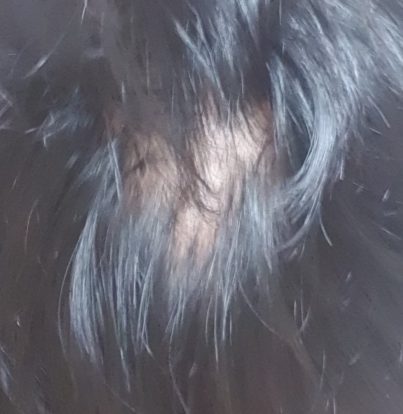 20200930_235309.jpg