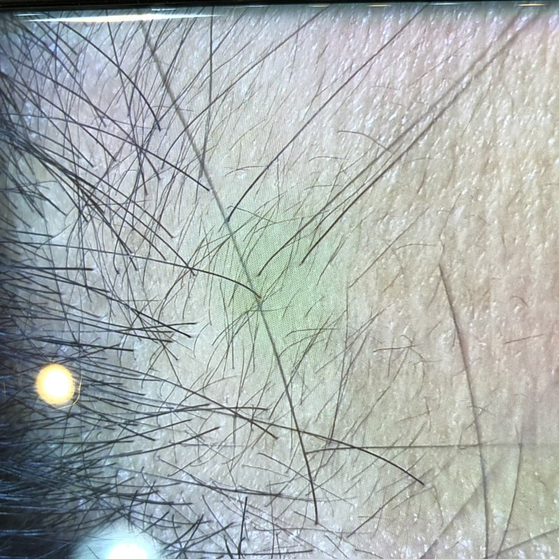 114D4D50-0DFD-4FCF-B88D-4E5E4B2D9802.jpeg