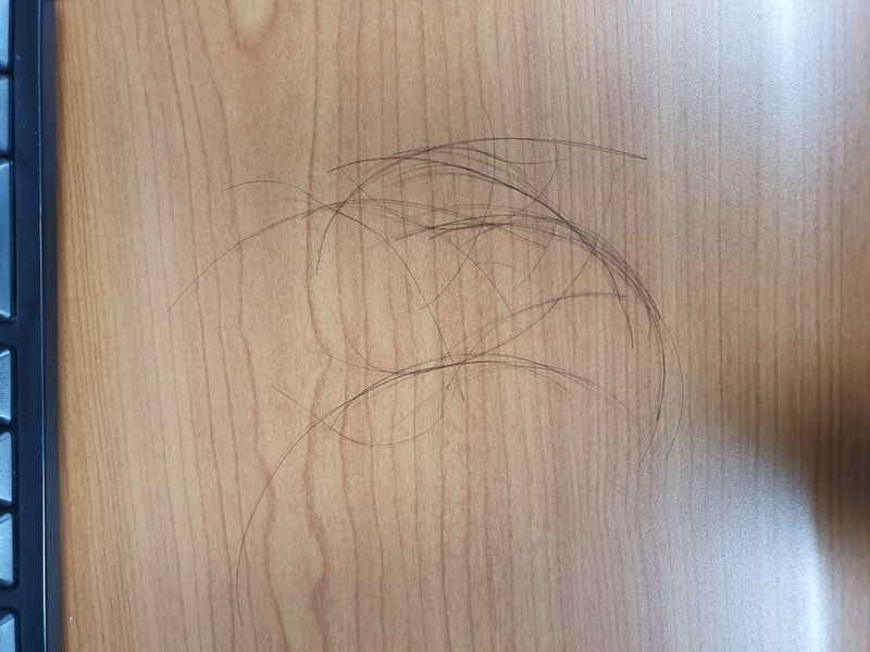 20190319_204456.jpg