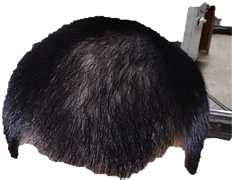 20170417_145055.png