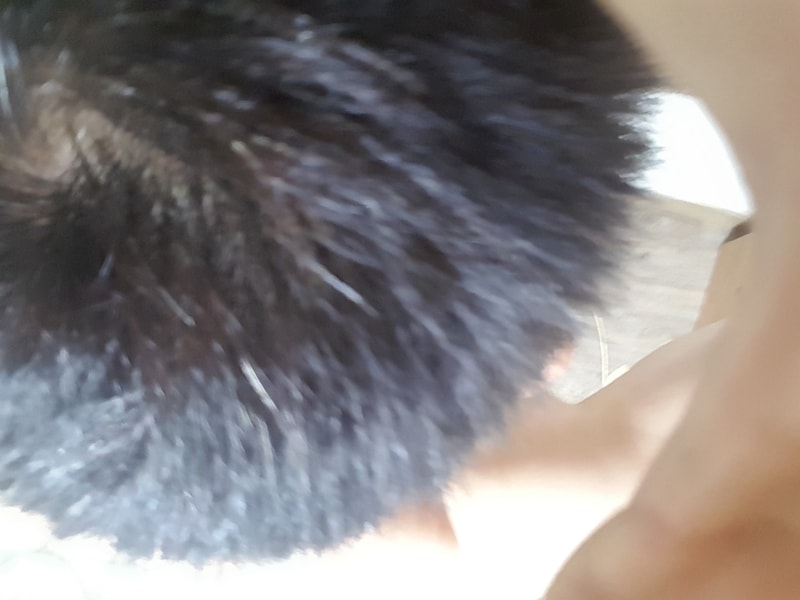 20170713_232109.jpg