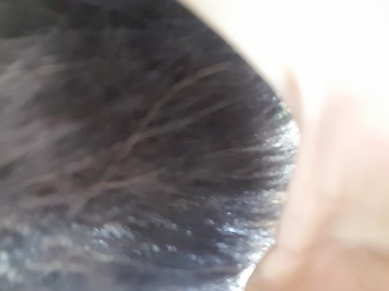 20170713_231914.jpg