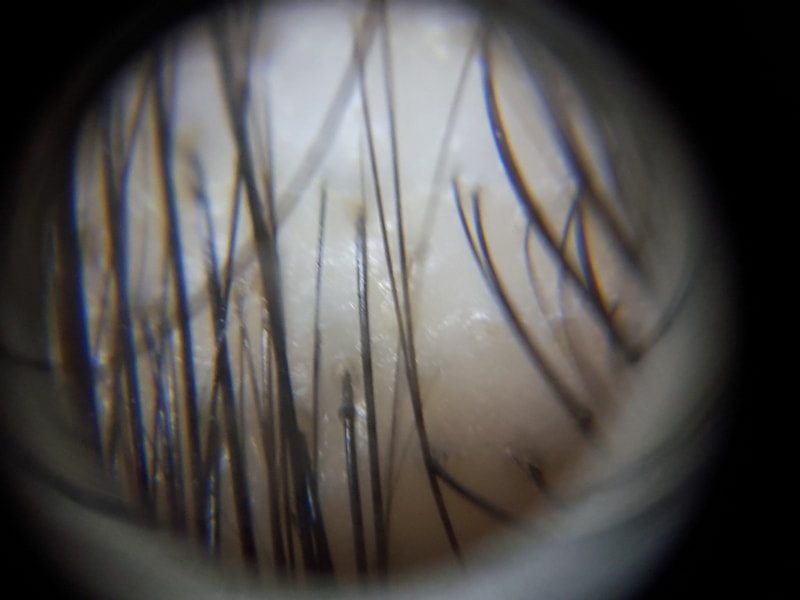 20170412_220917.jpg