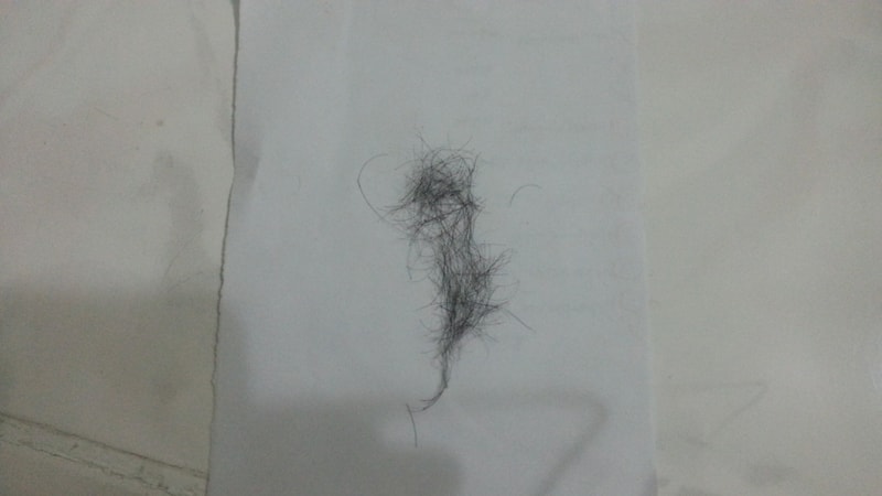 20140926_173527.jpg