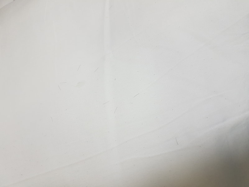 20181207_210712.jpg