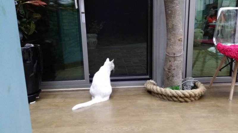 20170527_210331.jpg