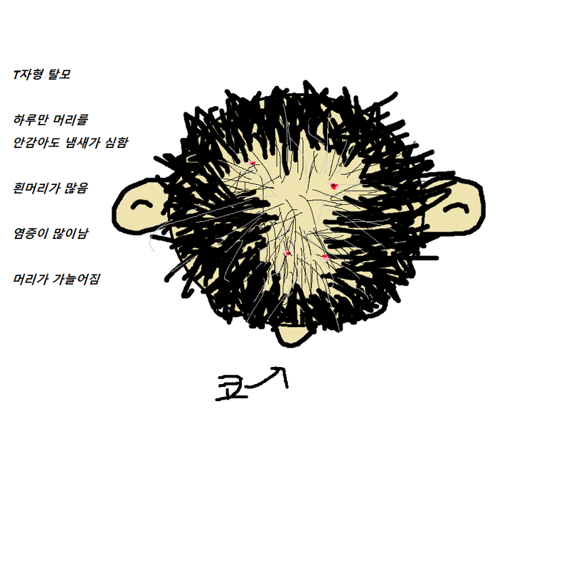 제목 없음.png